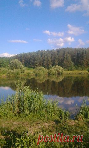 БЕСПЛАТНЫЕ КАРТИНКИ, ПОЗДРАВЛЕНИЯ И ПЛЭЙКАСТЫ.
Оксана Щерба (Лисий)