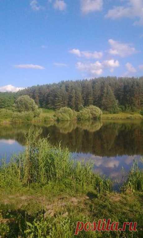 БЕСПЛАТНЫЕ КАРТИНКИ, ПОЗДРАВЛЕНИЯ И ПЛЭЙКАСТЫ.
Оксана Щерба (Лисий)