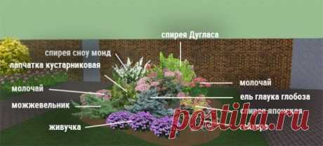 Клумбы непрерывного цветения – схемы с описанием цветов