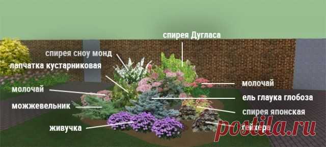 Клумбы непрерывного цветения – схемы с описанием цветов