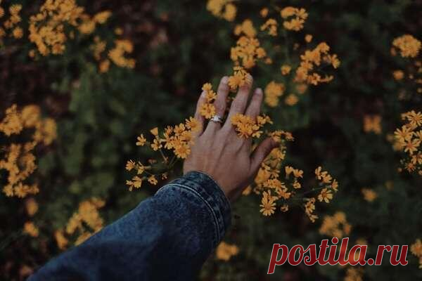 8 признаков, по которым вы сможете определить психопата | Гармония в тебе! | Дзен