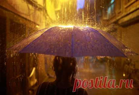 Фотогалерея: Самые красивые фотографии 2013 года - Новости Mail.Ru