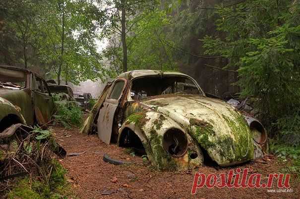 Самые необычные замершие автомобили из прошлого