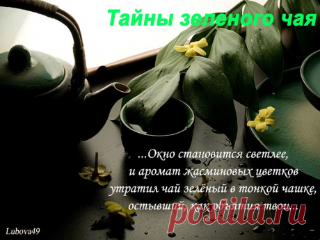 Плейкаст «зеленый чай »