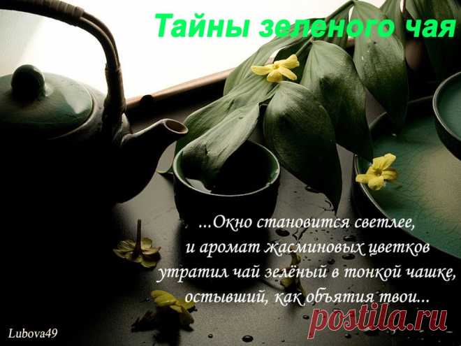 Плейкаст «зеленый чай »
