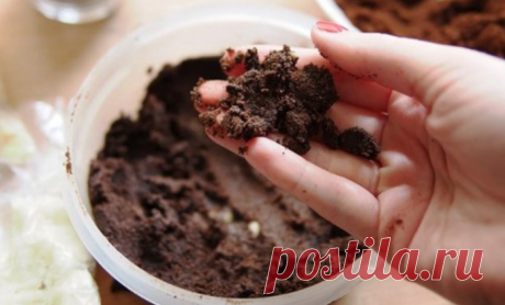 Как просто избавиться от грибка без дорогих лекарств?
Если ногти крошатся и ломаются, и вам сказали, что это грибковое заболевание — попробуйте очень простой и очень эффективный рецепт.
Обычный кофе. Верите? Это чистая правда. Только кофе должен быт…