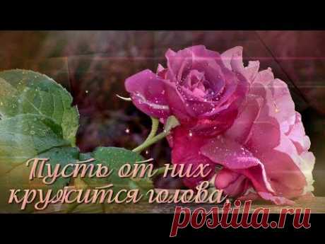 Говорите нежные слова... Розы, красивая музыка и стихи для Вас! - YouTube