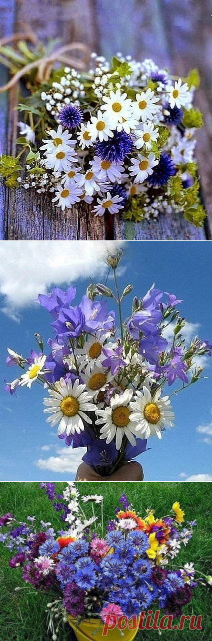 (83) Одноклассники