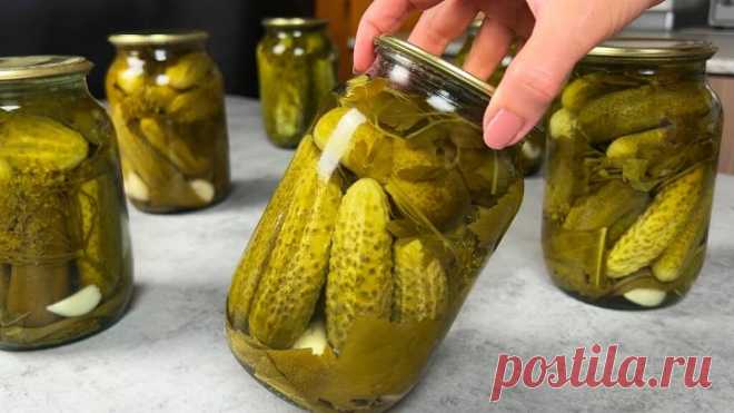 ОГУРЦЫ зимой больше НЕ ПОКУПАЮ! ТРИ лучших РЕЦЕПТА СОЛЕНЫХ ОГУРЦОВ от канала 