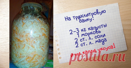 Классическая квашеная капуста из кулинарной кладовой бабули Всю осень квашу для удовольствия семьи.