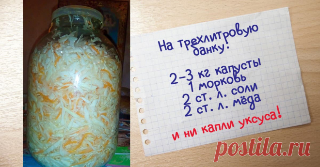 Классическая квашеная капуста из кулинарной кладовой бабули Всю осень квашу для удовольствия семьи.