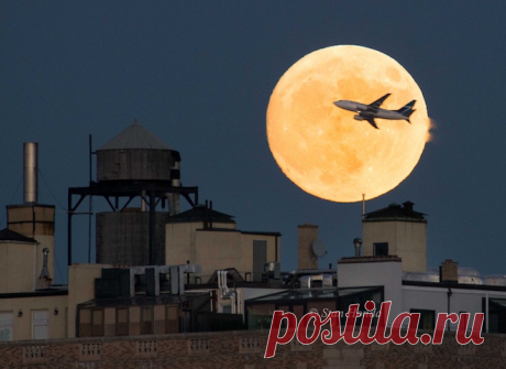 GISMETEO.RU: Снимки гигантской Суперлуны стали хитом в соцсетях - 14 ноября 2016 | События | Новости погоды.