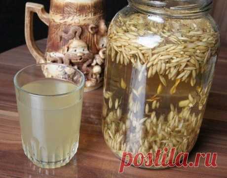 Квас из овса