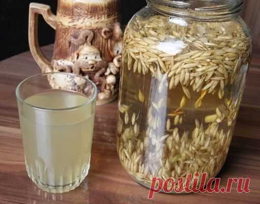 Квас из овса