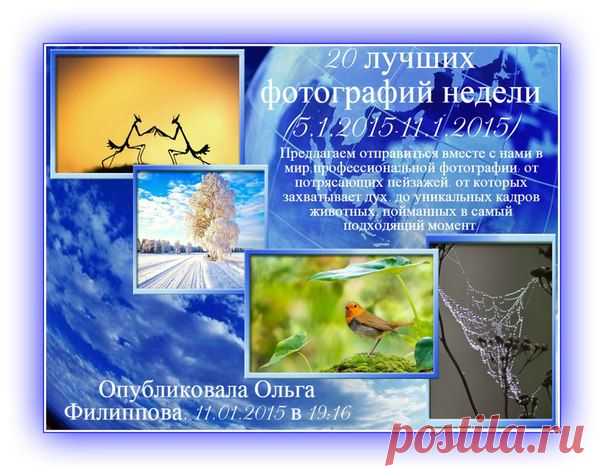 Юрий Пахомов