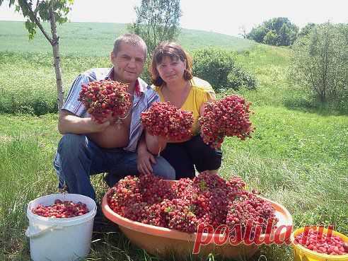 (71) Одноклассники