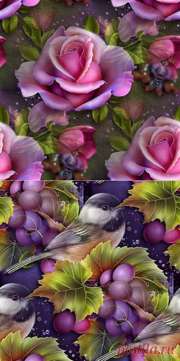 Яндекс.Фотки