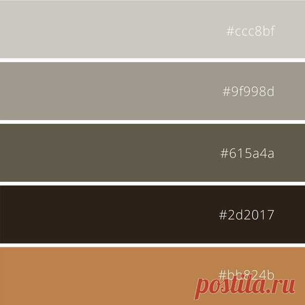 Яркие акценты для спокойного интерьера в оттенках серого и коричневого

Отличный вариант интерьера для уютной маленькой спальни. Фото интерьера и палитра

#цветоваяпалитра #палитраинтерьера #спальня #bedroom #interior #colorpalette