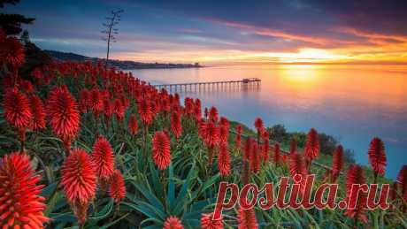 Закаты и рассветы. Природа.