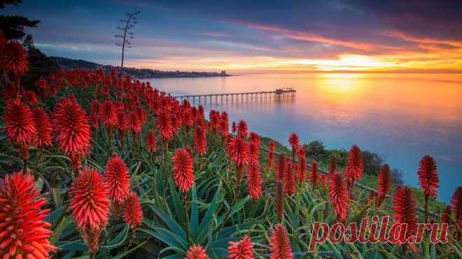 Закаты и рассветы. Природа.