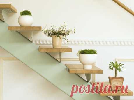 Цветы в интерьере, которые никогда не завянут