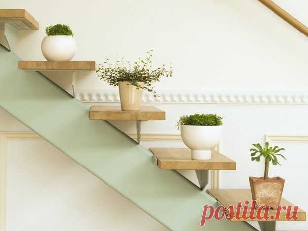 Цветы в интерьере, которые никогда не завянут