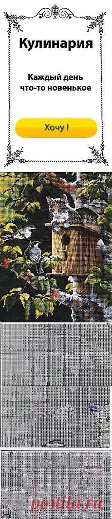 Кот - охотник / Схемы вышивки крестиком / PassionForum - мастер-классы по рукоделию