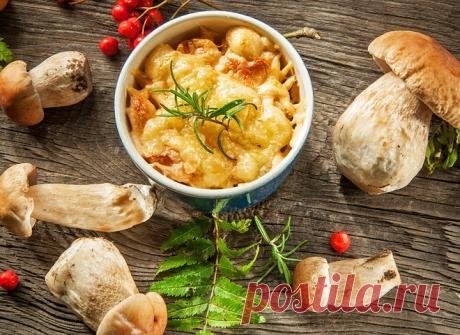 Как приготовить жульен с курицей и грибами по-домашнему - tochka.net