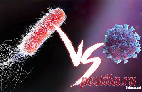 Чем отличается у детей бактериальная инфекция от ОРВИ? Когда ребёнок заболевает, это очень тревожит родителей. Главное, выявить причину болезни: это инфекционное заболевание, аллергия или просто простуда. Заболевания разделяются на 2 вида: вирусной этиологии или бактериальной.