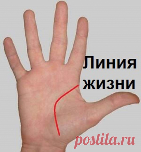 Прочитаете и вы будете в шоке!! точность на 90-95%! Научись гадать по руке самостоятельно! Цыганка не понадобится…