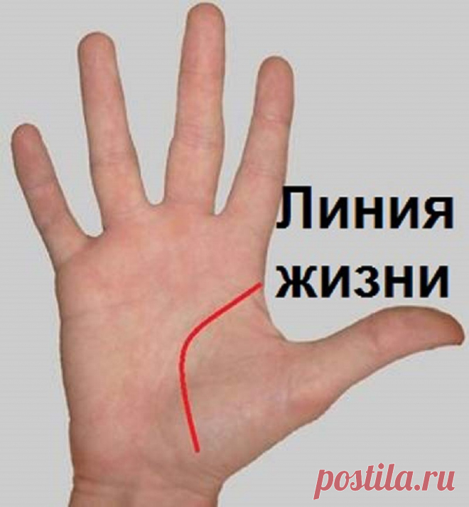 Прочитаете и вы будете в шоке!! точность на 90-95%! Научись гадать по руке самостоятельно! Цыганка не понадобится…