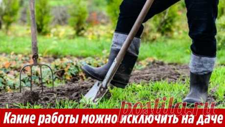 Вы даже не представляете какие работы можно исключить на огороде, освободив себе время на отдых Дачные мифы и заблуждения