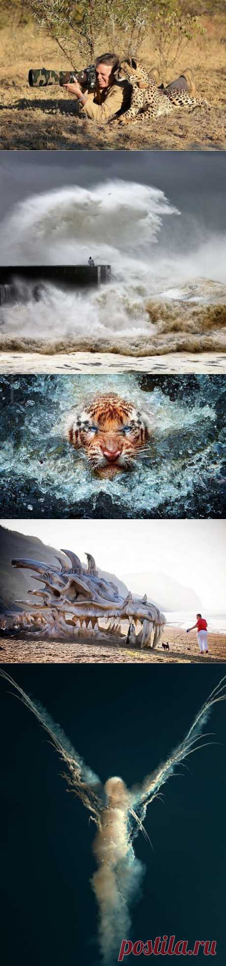 Лучшие фотографии месяца