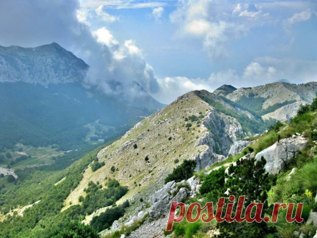 (12) Mensur Dzankovic