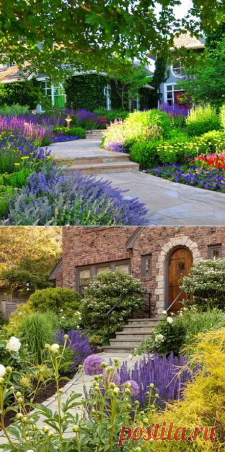Front Yard Renovation - Traditional - Landscape - Denver - by Designscapes Colorado Inc.