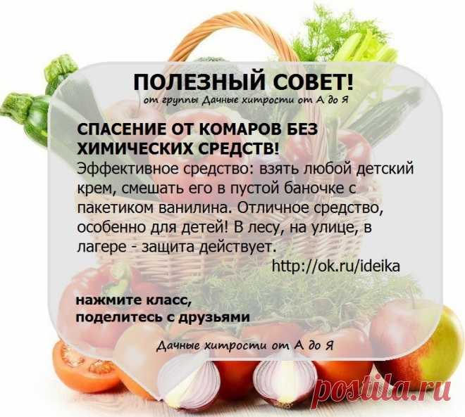 Одноклассники