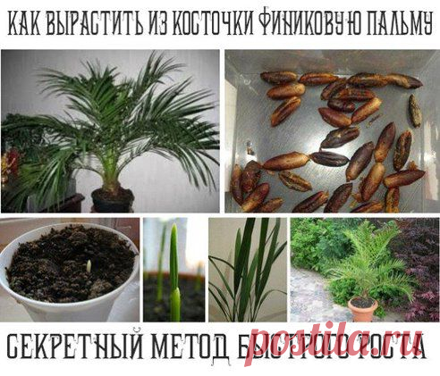 (49) Одноклассники