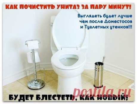 КАК ПОЧИСТИТЬ УНИТАЗ ЗА ПАРУ МИНУТ!

Будет блестеть, как новый!
Согласитесь, что такое место в доме, как туалет всегда должно быть безупречно чистым, поэтому 
предлагаю вам эффективнейший способ очистки унитаза. 
Выглядеть будет лучше чем после «Доместосов» и «Туалетных утенков»!!!
1. Покупаем в магазине 9%..
Узнай продолжение здесь — ok.ru/layfkhakup
•••