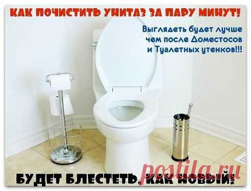КАК ПОЧИСТИТЬ УНИТАЗ ЗА ПАРУ МИНУТ!

Будет блестеть, как новый!
Согласитесь, что такое место в доме, как туалет всегда должно быть безупречно чистым, поэтому 
предлагаю вам эффективнейший способ очистки унитаза. 
Выглядеть будет лучше чем после «Доместосов» и «Туалетных утенков»!!!
1. Покупаем в магазине 9%..
Узнай продолжение здесь — ok.ru/layfkhakup
•••