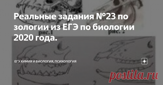 Реальные задания №23 по зологии из ЕГЭ по биологии 2020 года. В 2020 году было сразу несколько заданий (и их вариаций) про особенности пищеварительной системы животных. Рассмотрим 2 примера.
1.  У разных групп зверей число зубов, их функции и форма существенно отличаются.  По зубным системам млекопитающих, изображенных на рисунках 1 и 2, определите и обоснуйте характер питания животных, имеющих такие зубы. Какое значение имеют такие зубы?
Элементы