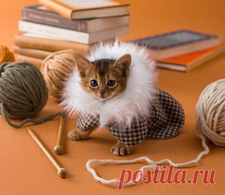 (14) Facebook