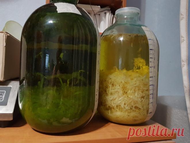 Имбирная настойка - старинный тибетский рецепт
Для приготовления настойки из имбиря необходимо 250 г корня имбиря. Промыть, почистить, нарезать на пластинки, заполнить ими небольшую емкость (баночку из-под сметаны или хрена) и залить емкость водкой доверху. Накрыть крышкой и поставить в темном сухом месте для настаивания на 2 недели. Периодически встряхивать. Процедить и добавить 2 чайные ложки меда.
Имбирная настойка применяется для тонуса бодрости, очень полезна при ангине и простудных забол