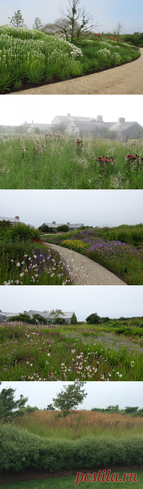 Nantucket Island - Piet Oudolf