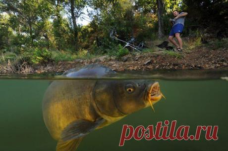 Ловля рыбы на незнакомом водоеме / Богатая добыча
