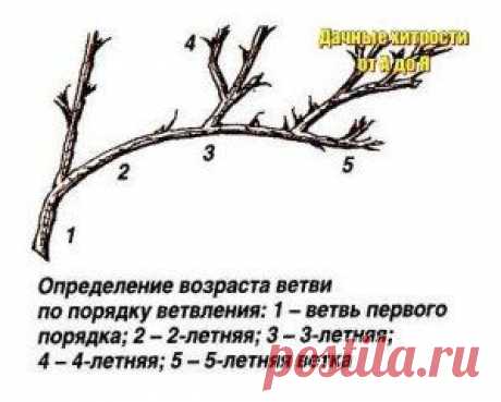 Одноклассники