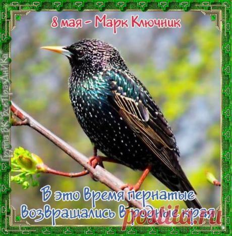 С днем Марка Ключника! Пусть святой откроет ключами небо и прольет благодатный дождь на твои посевы, принеся богатый урожай. Открытки на Марк Ключник!