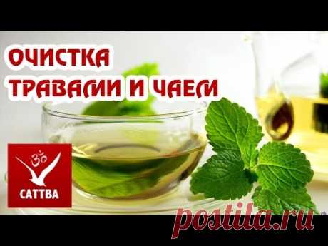 Быстрая и полная очистка организма от шлаков и паразитов