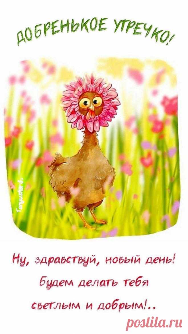 Доброе утречко (открытка 1610): Бесплатные картинки &#8226; Открытки Топ