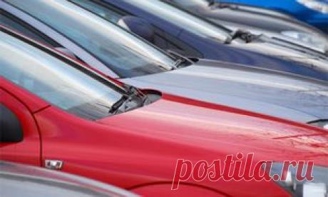 ElkNews - свежие новости в России и мире