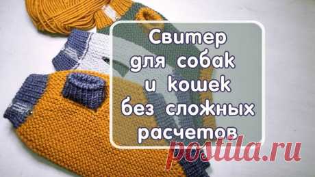 Модные Чихуашечки (вязание для животных, схемы)